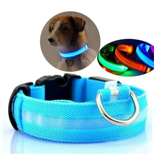 LED-lichthalsband Geheel Lichtgevend 's Nachts Anti-verlies USB Oplaadbare Halsband - Pet Dog ®